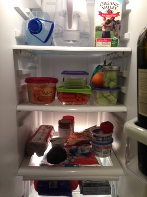 Refrigerator photo taken two weeks ago