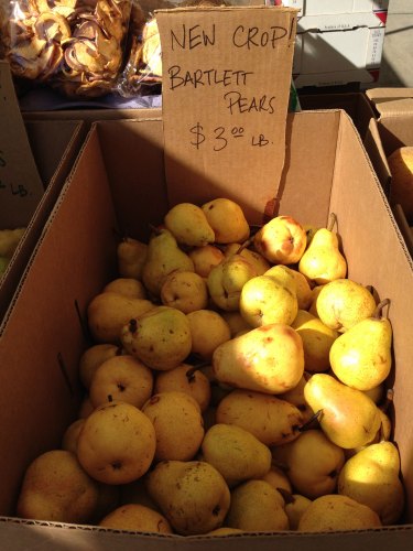 bartlett-pear-season