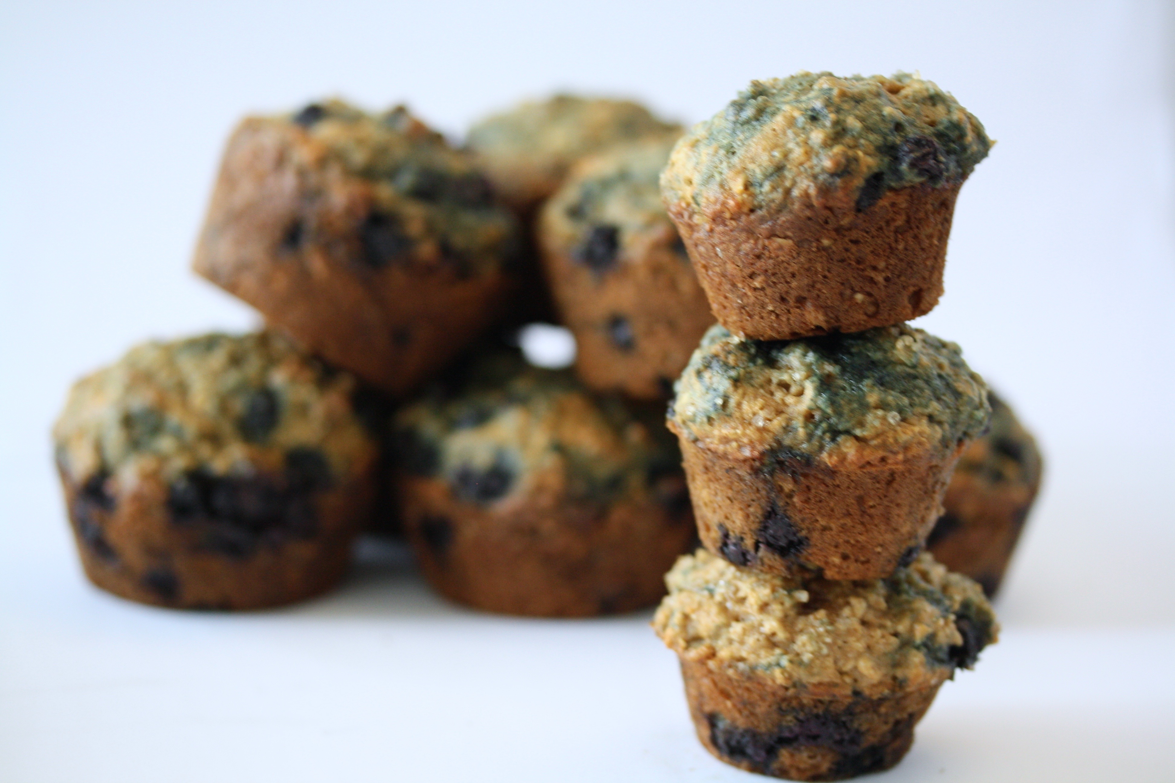 Blueberry Oatmeal Muffins