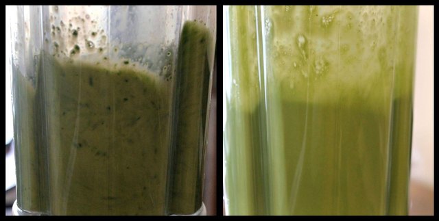 Blend the almond milk and greens until you can't see bits of spinach anymore
