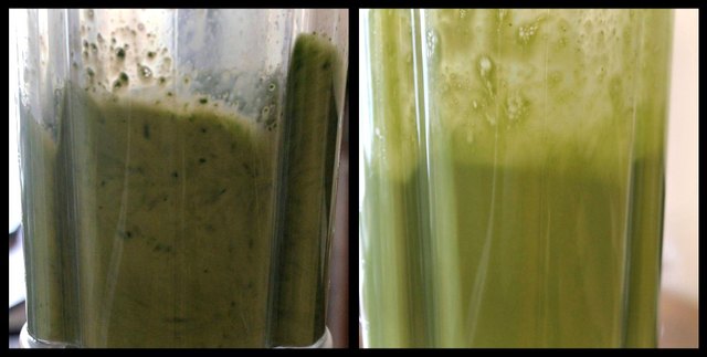 Blend the almond milk and greens until you can't see bits of spinach anymore