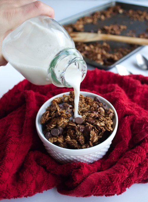 Chocolate-Gingerbread-Granola-6