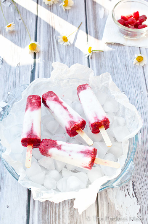 Adult Popsicle Roundup - CarolineKaufman.com